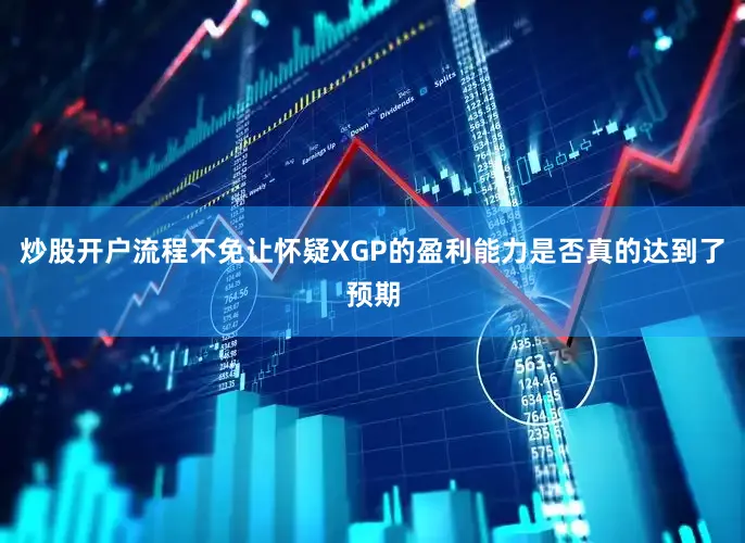 炒股开户流程不免让怀疑XGP的盈利能力是否真的达到了预期