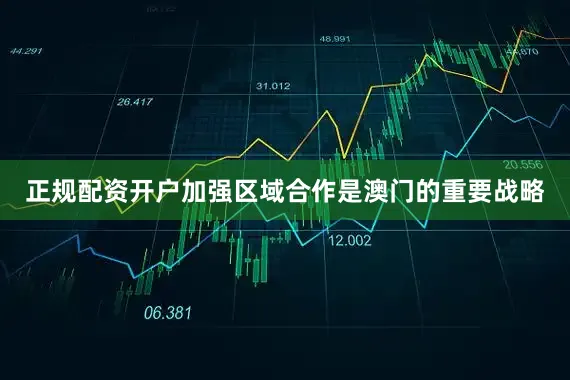 正规配资开户加强区域合作是澳门的重要战略